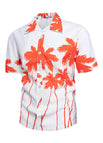Coconut orange